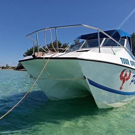 Dolphin Dhow Beach Safaris Vilanculos Ngoại thất bức ảnh