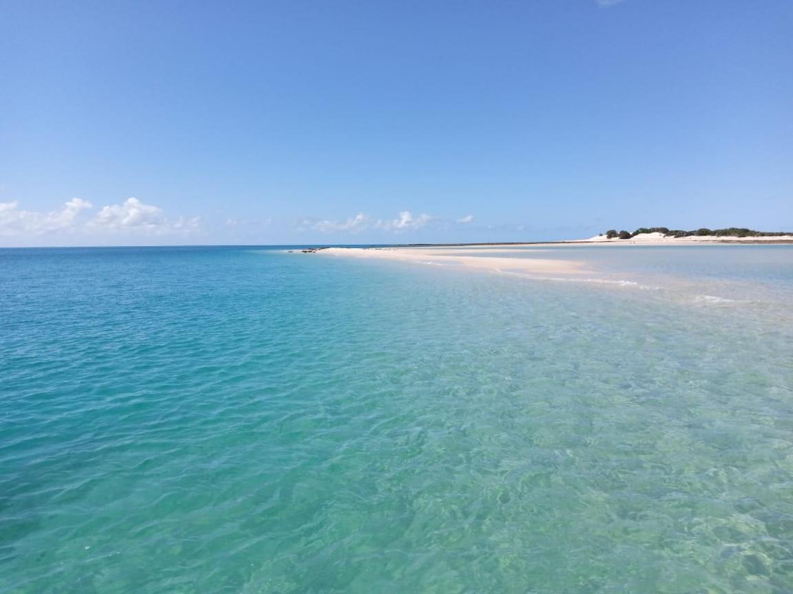 Dolphin Dhow Beach Safaris Vilanculos Ngoại thất bức ảnh