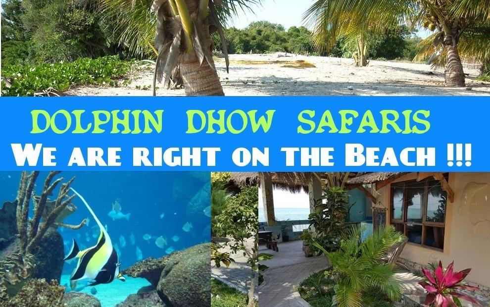 Dolphin Dhow Beach Safaris Vilanculos Ngoại thất bức ảnh