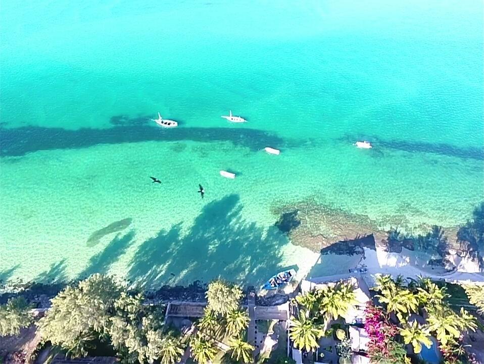 Dolphin Dhow Beach Safaris Vilanculos Ngoại thất bức ảnh