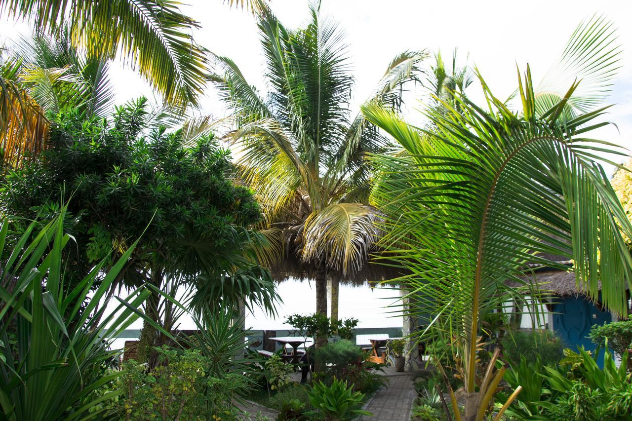 Dolphin Dhow Beach Safaris Vilanculos Ngoại thất bức ảnh
