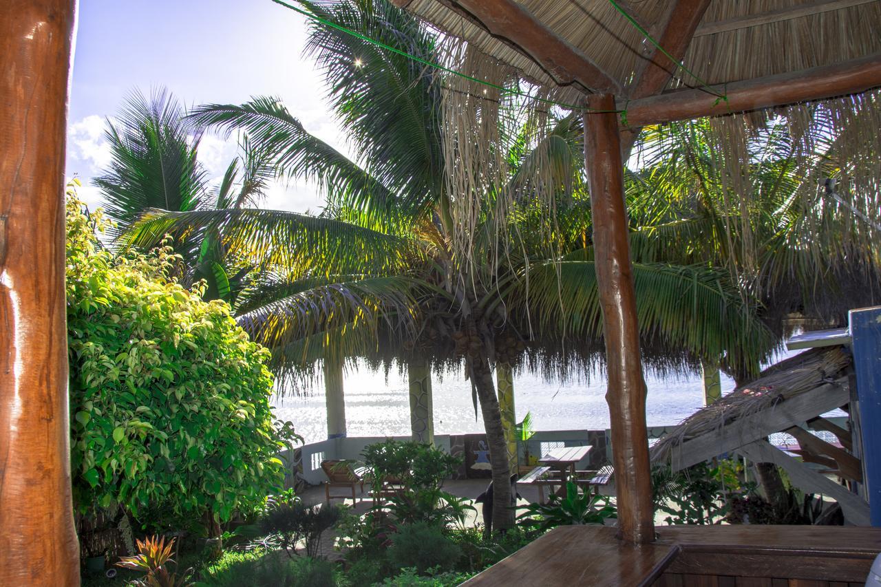 Dolphin Dhow Beach Safaris Vilanculos Ngoại thất bức ảnh